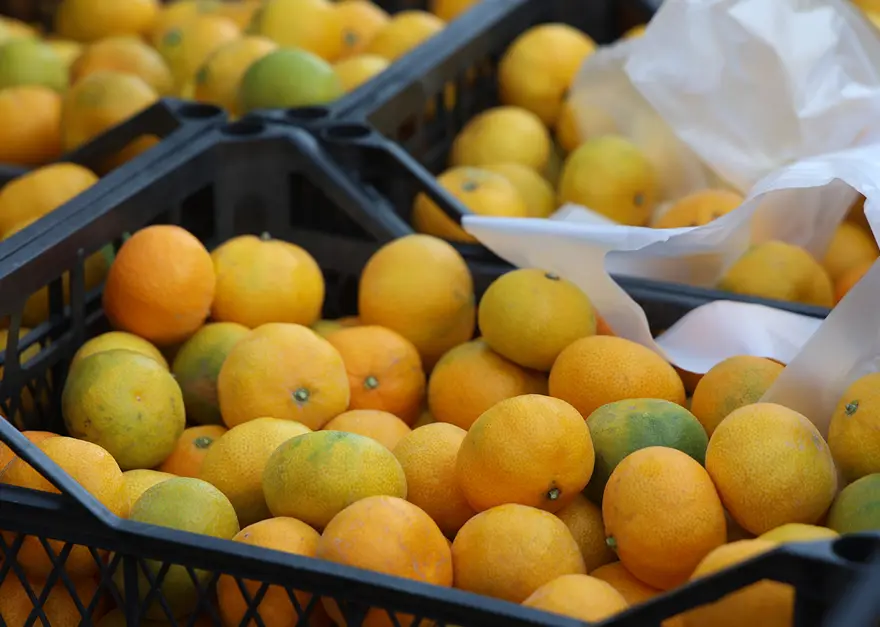 Fiyatı 2 liraya düştü, tonlarca ürün ücretsiz dağıtıldı 3