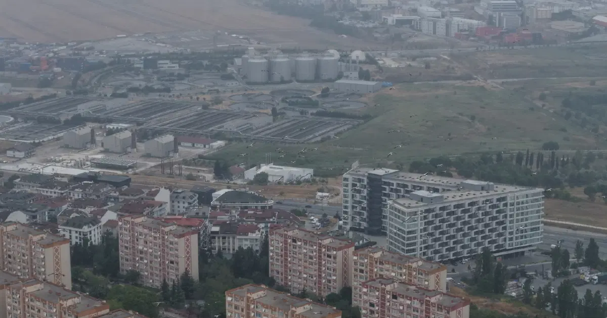 İstanbul'da yaz günü kış yaşandı. Leylekler göç yolunda