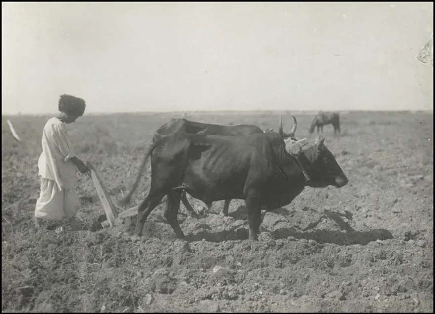 Bilim kurgu değil Türk boylarının 111 yıllık fotoğrafları. Gizemli heykeller, gelişmiş aletler, tanıdık kıyafetler (106 fotoğrafla gizemli Türk tarihi) 55