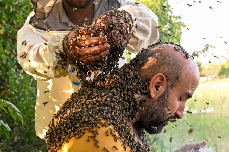 "Arı Adam"ın Guinness Rekorlar Kitabı hayaline ramak kaldı 17