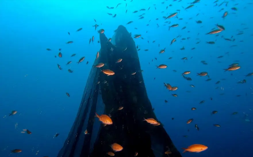 'Hayalet ağ' dalış turizmi için batırılan vapuru kapladı 2