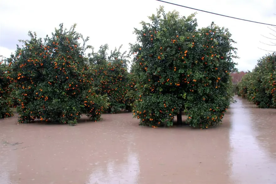 Manavgat 2