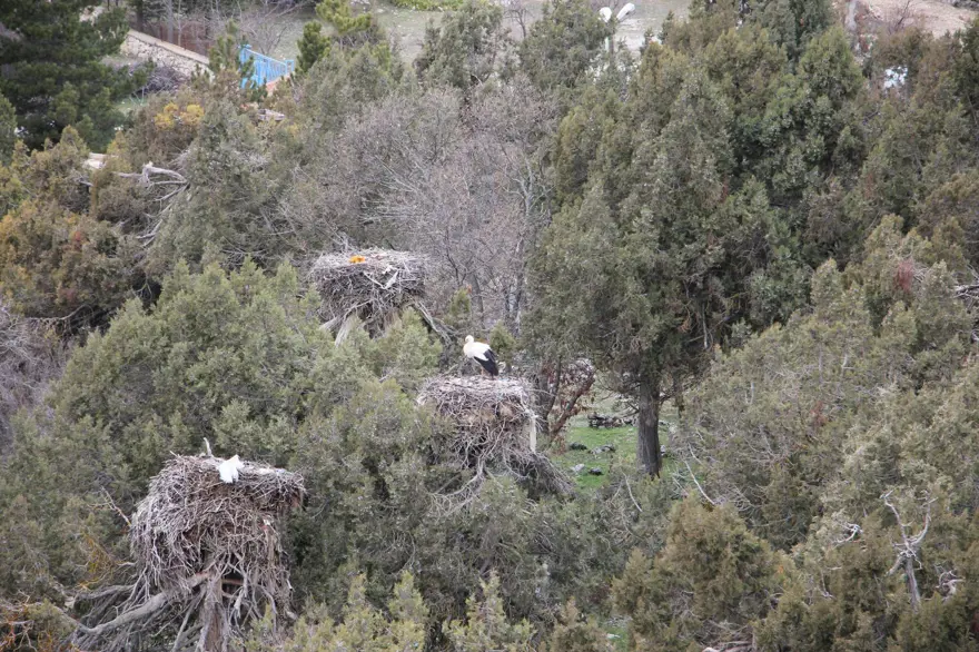 Leyleklere BBG evi 2 Leyleklere BBG evi 2