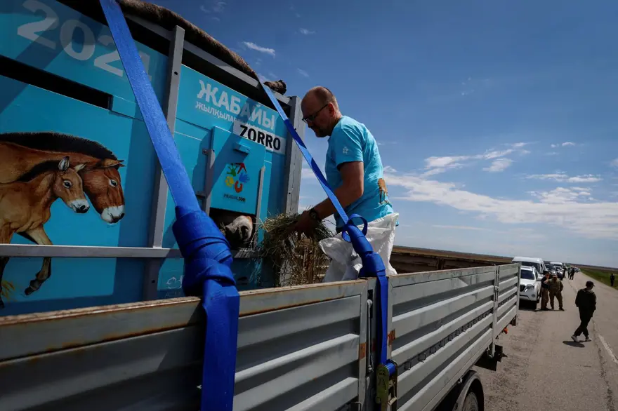 PRAG'IN "ATLARI KAZANDIRMA" ÇABASI 4