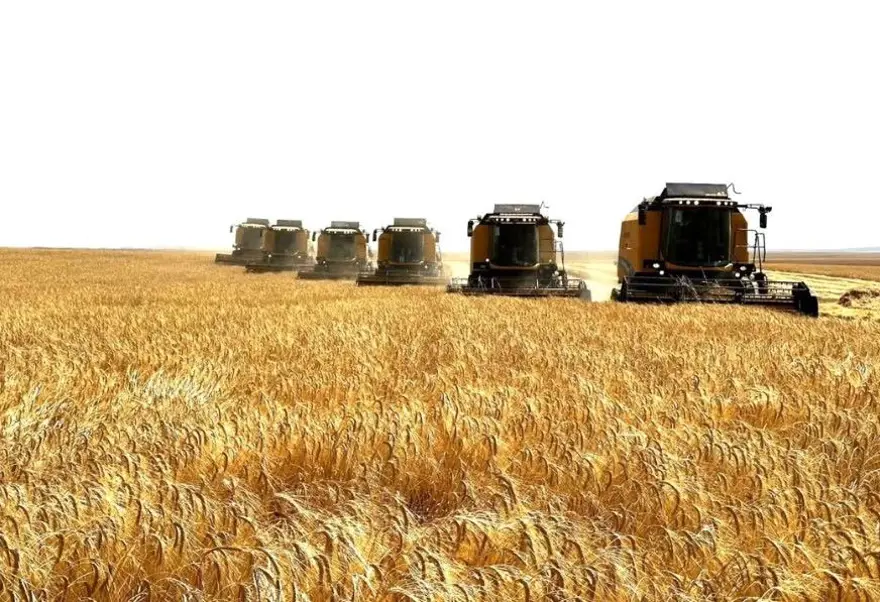 TİGEM İŞÇİ ALIMI KADRO DAĞILIMI 3