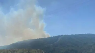 Çanakkale'de orman yangını