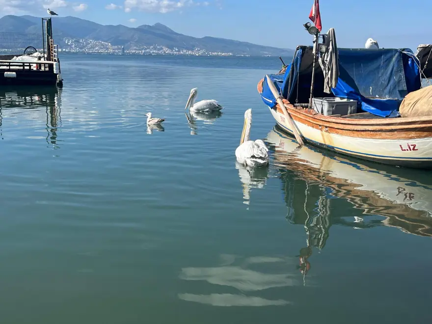 Gece avlanıyor, sabah alıcıyla buluşuyor: Fiyatı 2 bin TL'ye kadar çıkıyor 1