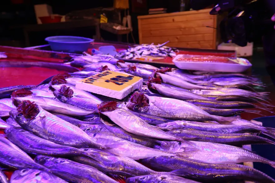 "'SİZİN BALIĞINIZ KOKUYOR' DEDİM" 3