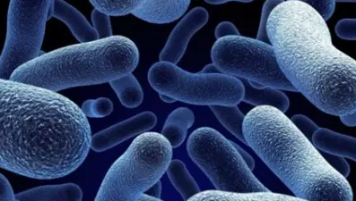 Süper bakteri Dünya Ekonomik Forumu gündeminde: Savaş kadar tehlikeli