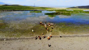 Erzurum'da kuraklık hat safhada, göller bir bir kuruyor Erzurum'da kuraklık hat safhada, göller bir bir kuruyor