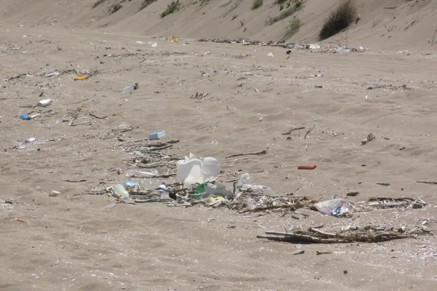 Kaderine terk edildi: 2 kilometrelik kumsal çöple kaplandı 