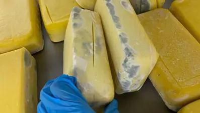 Piyasaya sürülmek üzereydi: Peynirin içinden çıktı