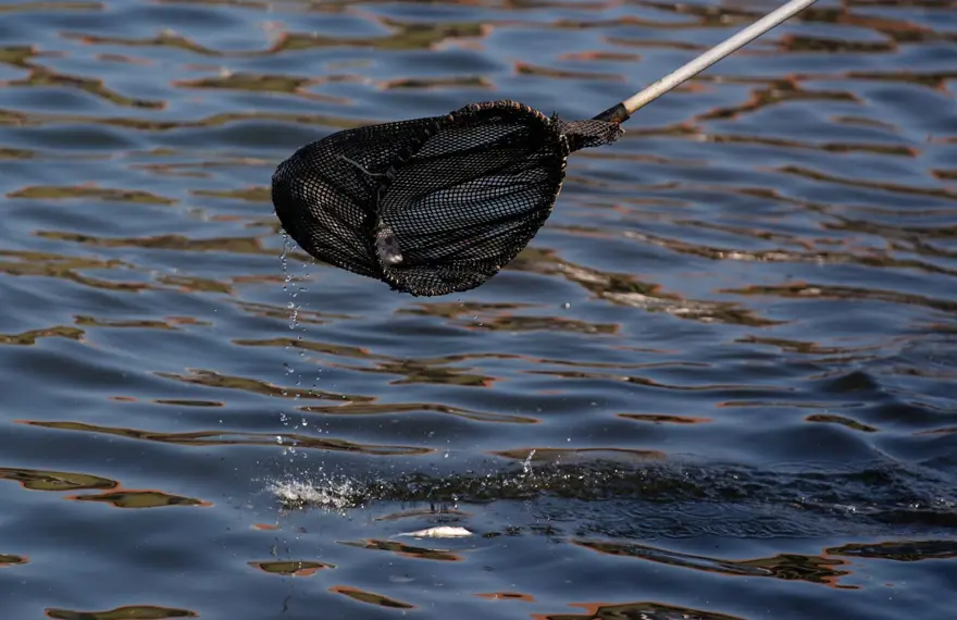 İzmir Körfezi'nde oksijen artırma çalışması 1