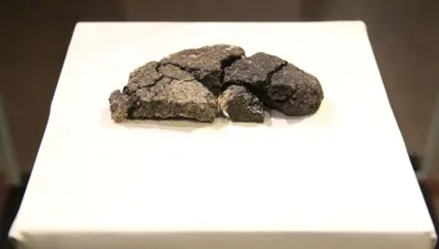 5 bin yıllık ekmek satışa sunuluyor