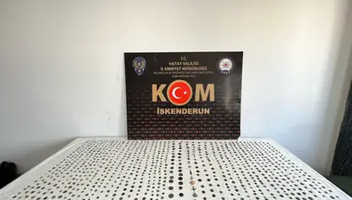 Hatay'da bin 30 adet sikke ele geçirildi