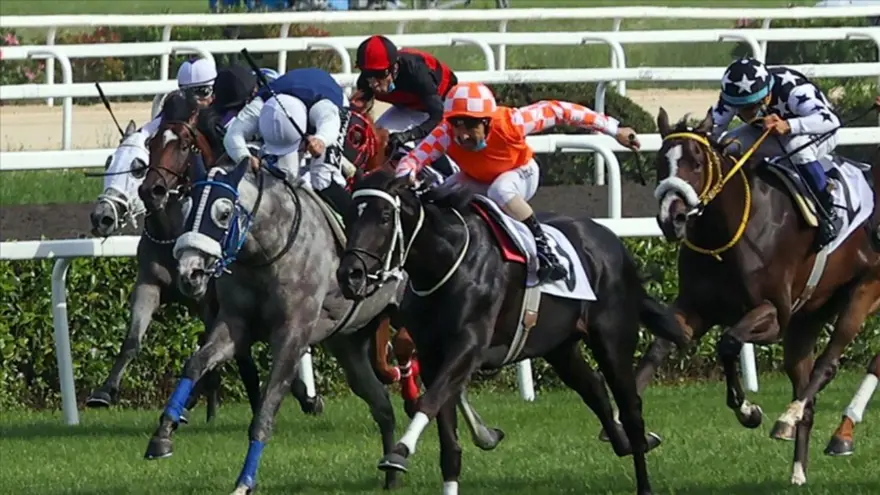 2025 Gazi Koşusu ne zaman düzenlenecek? 99. Gazi Koşusu tarihi, saati ve yeri 