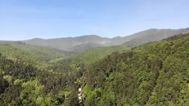 Çanakkale'de ormanlara giriş yasaklandı