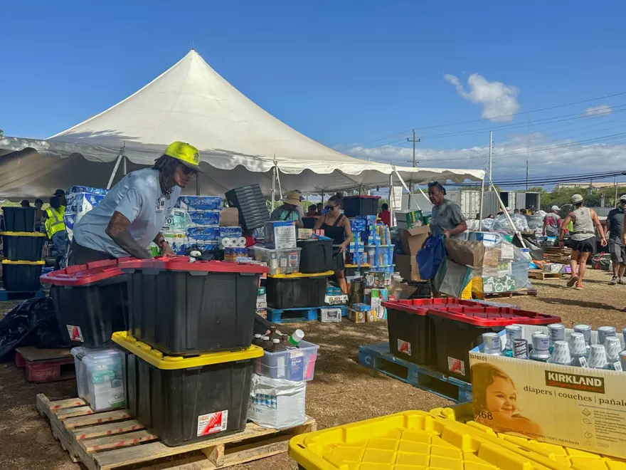 Hawaii'de devam eden orman yangınlarında ölenlerin sayısı 80'e çıktı 12