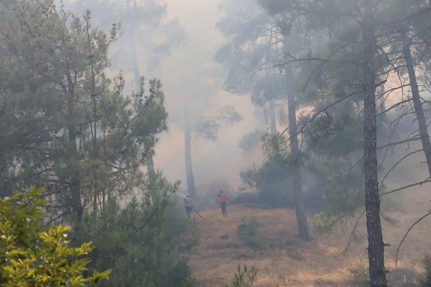 Kahramanmaraş'ta orman yangını 5