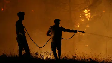 Orman yangınları: 33 ilde 21 kişi tutuklandı
