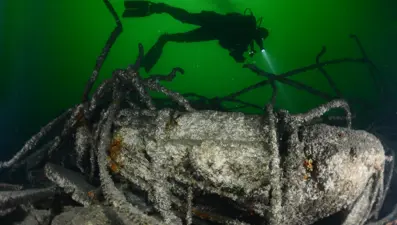 17 Ağustos depreminde sular altında kalmıştı! Japon deprem uzmanı "batık şehrin" son halini inceledi