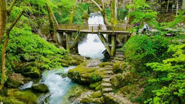 Kaz Dağları'ndaki eşsiz güzellik: Ayazma Pınarı Tabiat Parkı