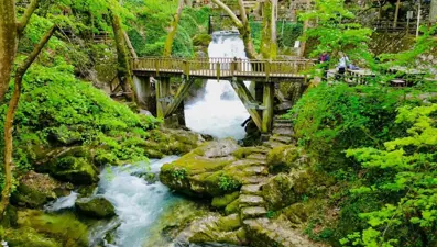 Kaz Dağları'ndaki eşsiz güzellik: Ayazma Pınarı Tabiat Parkı