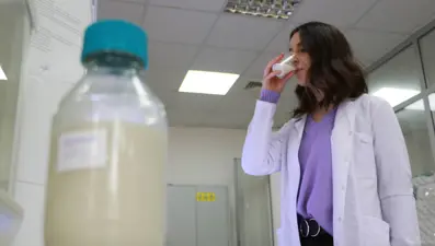 Veganlar için kenevirden süt üretildi