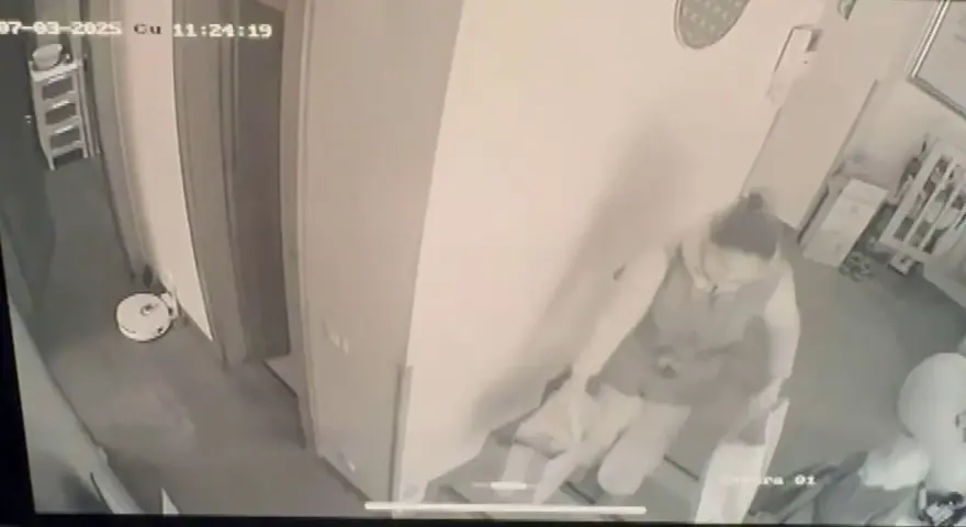 Sultan Vahdettin'in torununun evinden 11 milyonluk soygunun arkasından hizmetçi çıktı 1