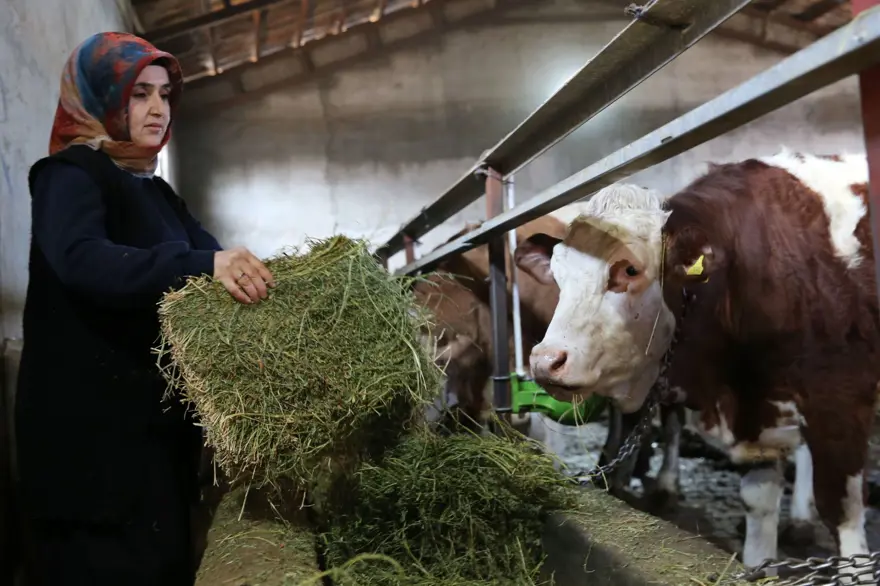 250 bin lira hibe desteğiyle 2 yılda 6'ya katladı: Üretip tüm ilçeye satıyorlar 