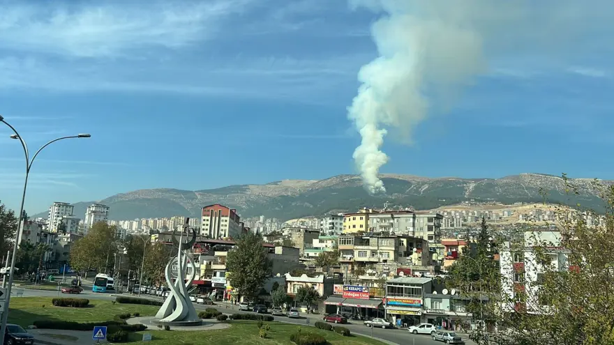 Kahramanmaraş'ta orman yangını 3