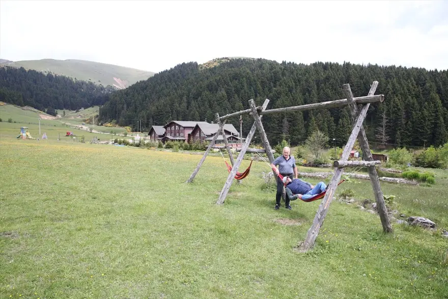 Alpler'i aratmıyor: Giresun'un 'oksijen deposu' Kümbet Yaylası 13 Alpler'i aratmıyor: Giresun'un 'oksijen deposu' Kümbet Yaylası 13