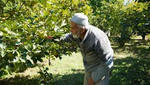 85 yaşındaki İbrahim dedenin "Hayır Bahçesi": 30 yıldır ücretsiz dağıtıyor