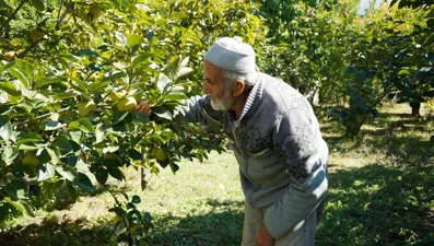 85 yaşındaki İbrahim dedenin "Hayır Bahçesi": 30 yıldır ücretsiz dağıtıyor