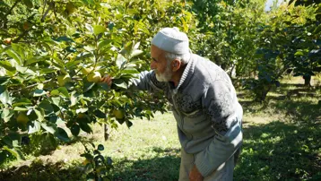 85 yaşındaki İbrahim dedenin "Hayır Bahçesi": 30 yıldır ücretsiz dağıtıyor