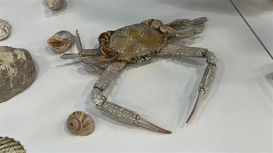 "KARAMAN ESKİDEN BİR İÇ DENİZDİ" 3 "KARAMAN ESKİDEN BİR İÇ DENİZDİ" 3