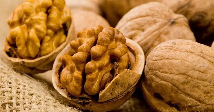 Sonbaharın 10 şifalı besini! 