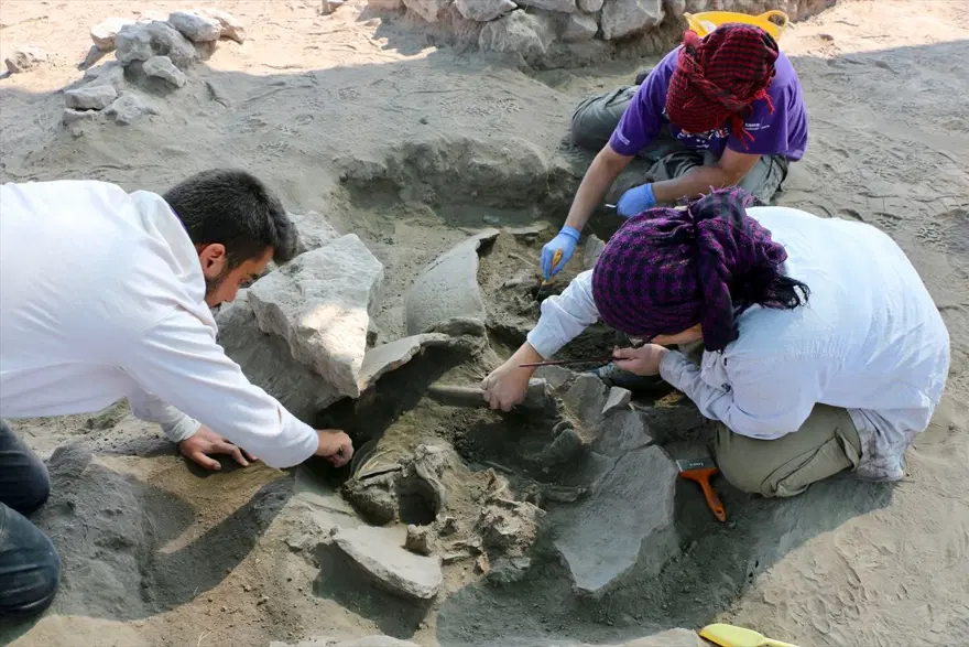 Eskişehir Küllüoba Höyüğü'nde 5 bin yıllık küp mezarlarda çocuk iskeletleri bulundu 6