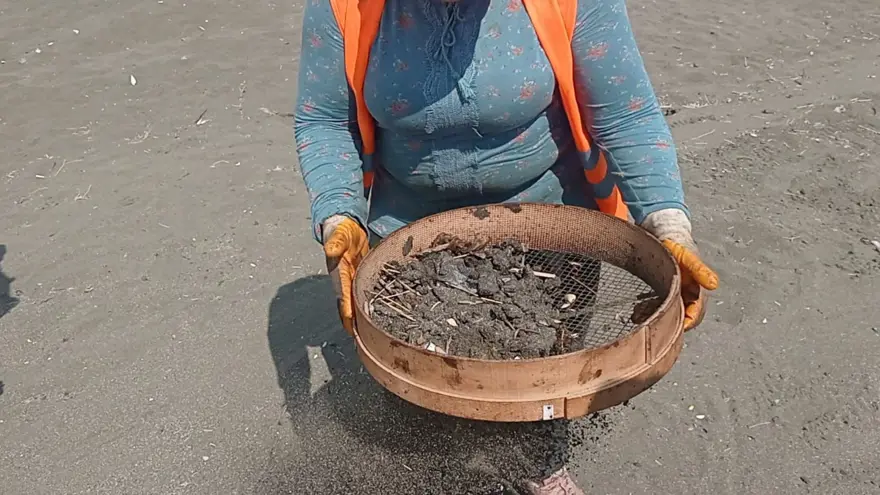 Samandağ sahilinde petrol atıkları elekle temizleniyor 1