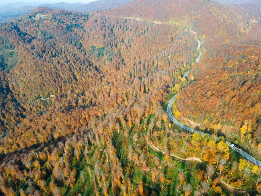 Eşsiz manzara eşliğinde yolculuk şansı: Çam Dağı 9
