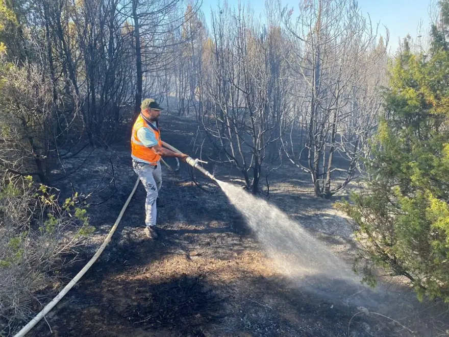 Kütahya’da orman yangını 1 Kütahya’da orman yangını 1