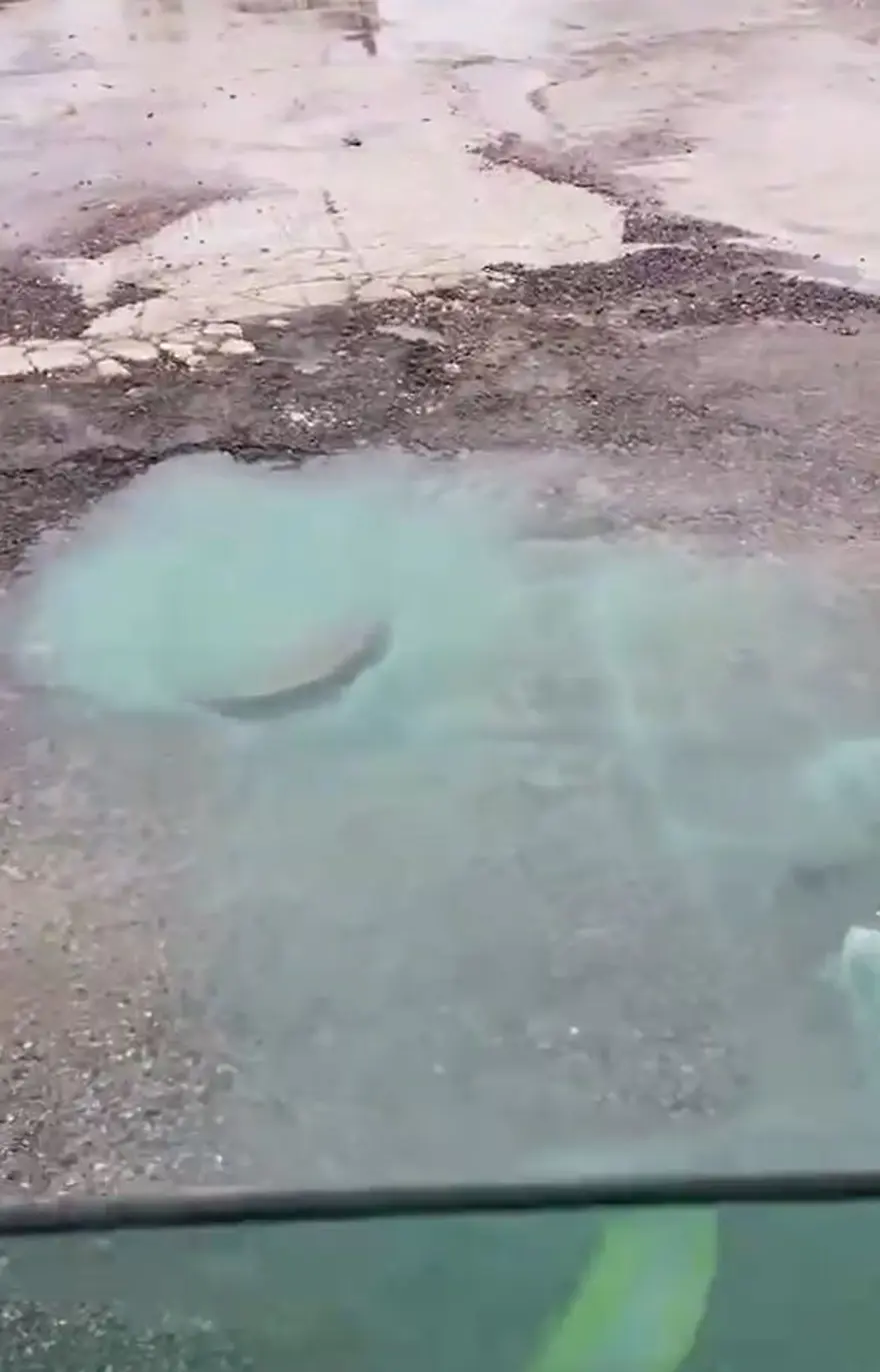 Yalova'da rögardan mavi renkli su taştı: İnceleme başlatıldı 1