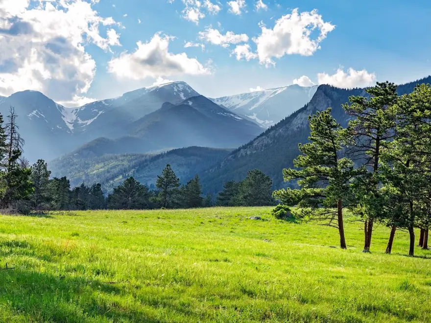 Uzmanı açıkladı: Ağrıyı hafifletici bir etkisi var 