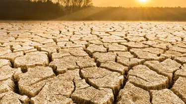 Avrupa son 500 yılın en kurak dönemini yaşıyor