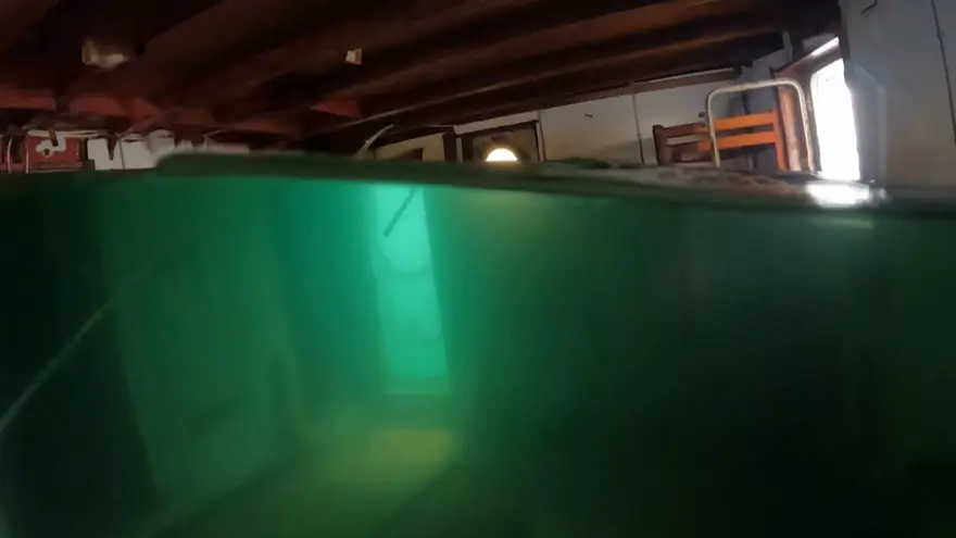 'Hayalet gemi' su altından görüntülendi 11