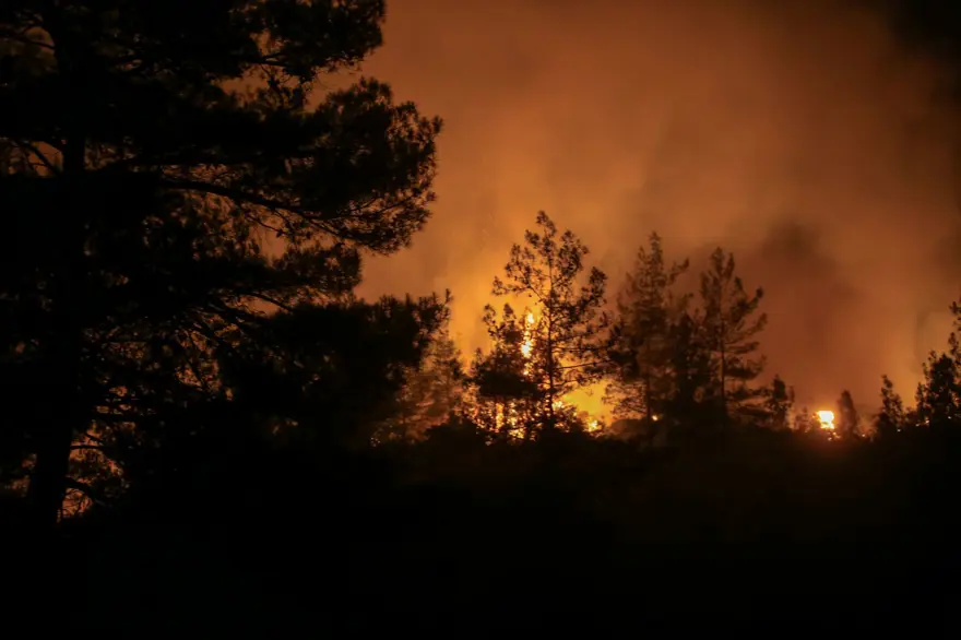Marmaris'te orman yangını: Alevlerle mücadelede 2. gün 56 Marmaris'te orman yangını: Alevlerle mücadelede 2. gün 56