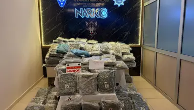 Kapıkule'de 171 kilogram uyuşturucu ele geçirildi