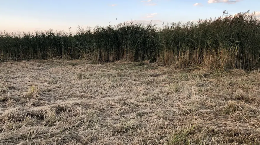 ''HAVALAR SOĞUYANA KADAR DEVAM EDECEĞİZ'' 4