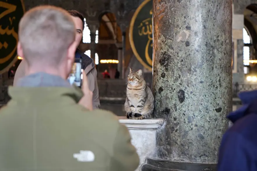 Ayasofya'nın yeni Gli’si 5 Ayasofya'nın yeni Gli’si 5