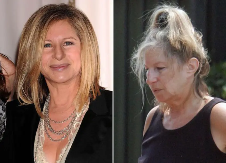 Barbra Streisand 24